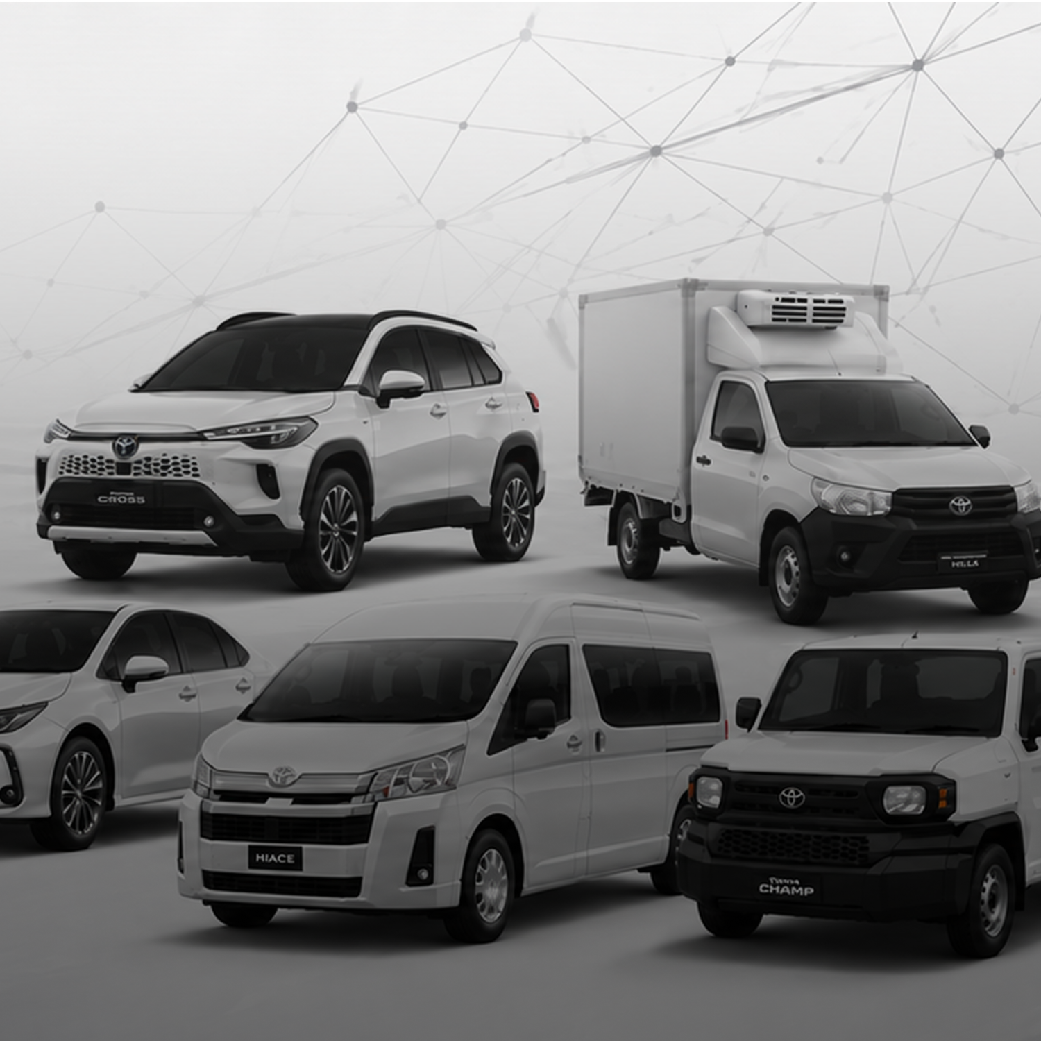Toyota Asia Fleet Business